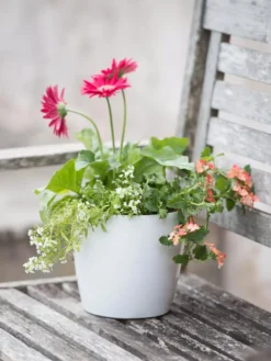 Viva Round Self-Watering Planter, 7" Diameter 8 Viva Round Self-Watering Planter, 7" Diameter -Garden Care Series Store 8595222 1139 tif