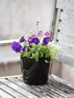 Viva Round Self-Watering Planter, 7" Diameter 9 Viva Round Self-Watering Planter, 7" Diameter -Garden Care Series Store 8595222 1140 tif