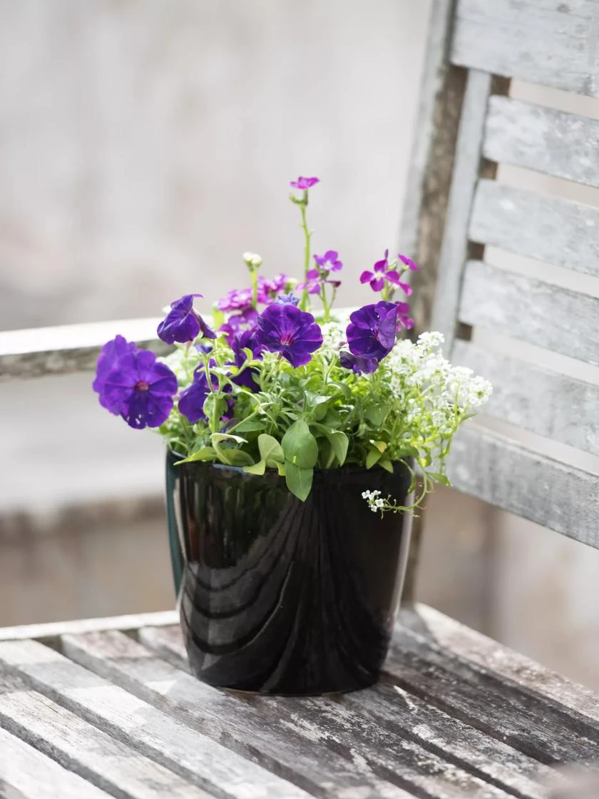 Viva Round Self-Watering Planter, 7" Diameter 5 Viva Round Self-Watering Planter, 7" Diameter - Image 5