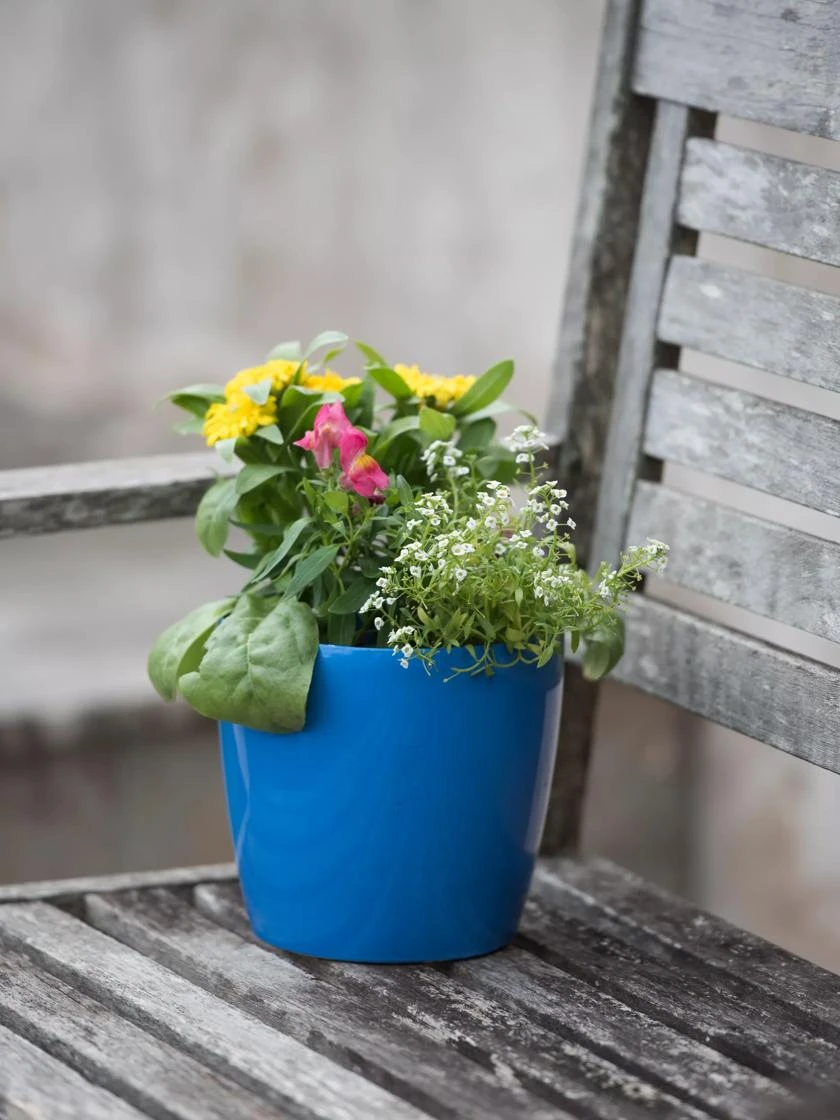 Viva Round Self-Watering Planter, 7" Diameter 3 Viva Round Self-Watering Planter, 7" Diameter - Image 3