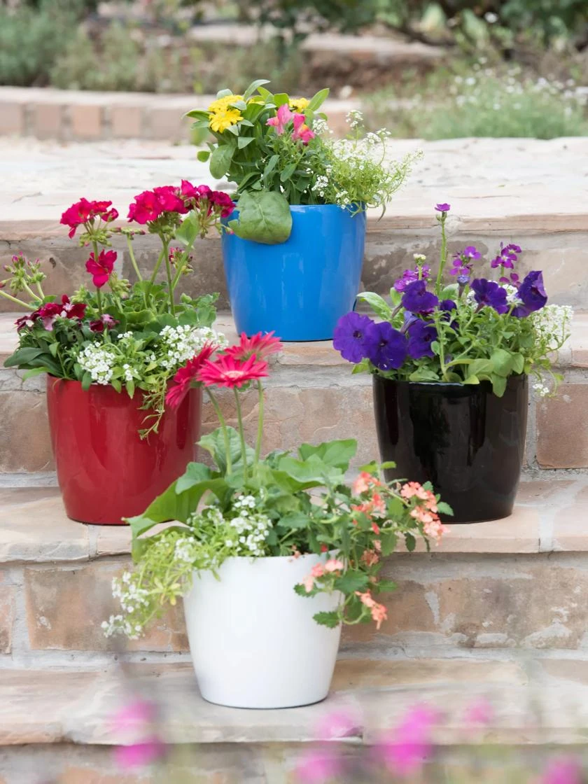 Viva Round Self-Watering Planter, 7" Diameter 1 Viva Round Self-Watering Planter, 7" Diameter