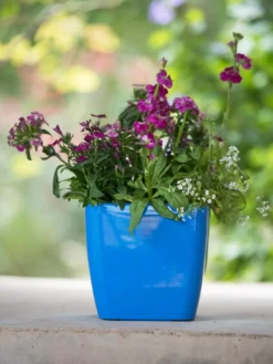 Viva Square Self-Watering Planter, 7" Diameter -Garden Care Series Store 8595223 1113 tif