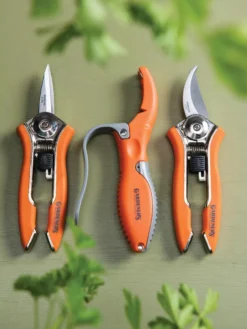 Gardener's Pocket Tool Set -Garden Care Series Store 8595268 9487 tif