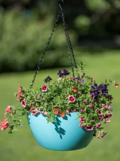 Viva Self-Watering Hanging Basket, 14" Diameter -Garden Care Series Store 8596442 0859 tif