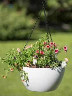 Viva Self-Watering Hanging Basket, 14" Diameter -Garden Care Series Store 8596442 0864 tif