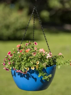 Viva Self-Watering Hanging Basket, 14" Diameter -Garden Care Series Store 8596442 0876 tif