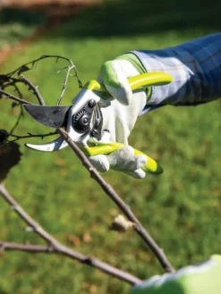 Gardener's Pro Pruner #2 -Garden Care Series Store 8596605 032 tif