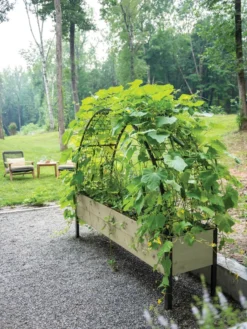 Self-Watering Elevated Planter Box, 2' X 8' -Garden Care Series Store 8596760 0046 tif