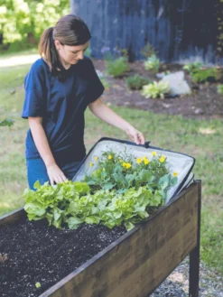 Pop-Up Crop Protector -Garden Care Series Store 8596763 EasyCropProtector gif