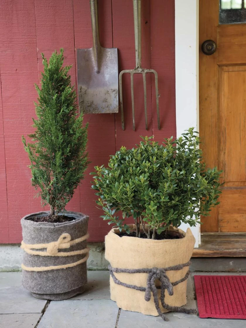 GardenWool® Plant Blanket 1 GardenWool® Plant Blanket