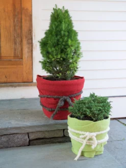 GardenWool® Plant Wrap