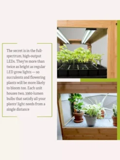 Bamboo LED Grow Light Garden For Succulents And Seeds 20 Bamboo LED Grow Light Garden For Succulents And Seeds -Garden Care Series Store 8598084 7