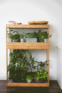 Bamboo Home LED Grow Light Garden 16 Bamboo Home LED Grow Light Garden -Garden Care Series Store 8598088 BambooLEDHomeGarden light gif scaled