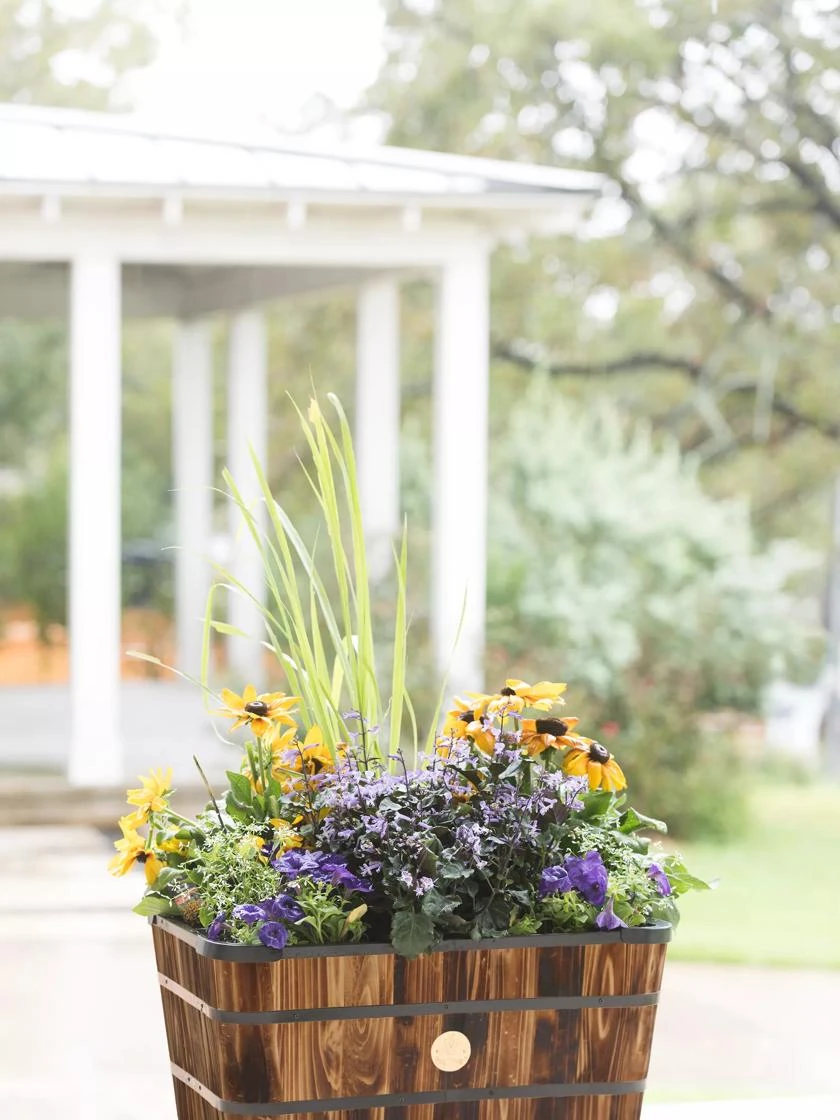 VegTrug™ Trough Planters 2 VegTrug™ Trough Planters - Image 2