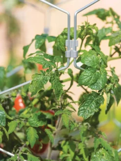 Gardener's Vertex Lifetime Tomato Cage -Garden Care Series Store 8598426 0011 tif