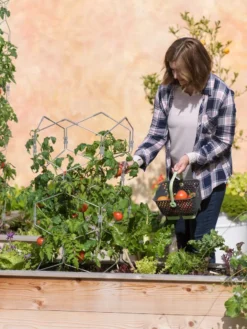 Gardener's Vertex Lifetime Tomato Cage -Garden Care Series Store 8598426 0026 tif