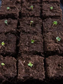 Vermont Compost Company Fort Vee™ Potting Mix, 20 Quarts -Garden Care Series Store 8599281 5930