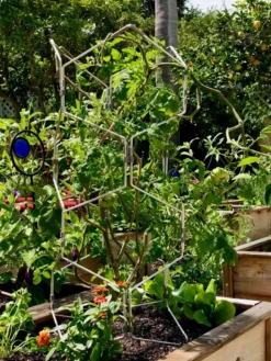 Gardener's Vertex Lifetime Pepper And Eggplant Cage -Garden Care Series Store 8599554 01CUST tif