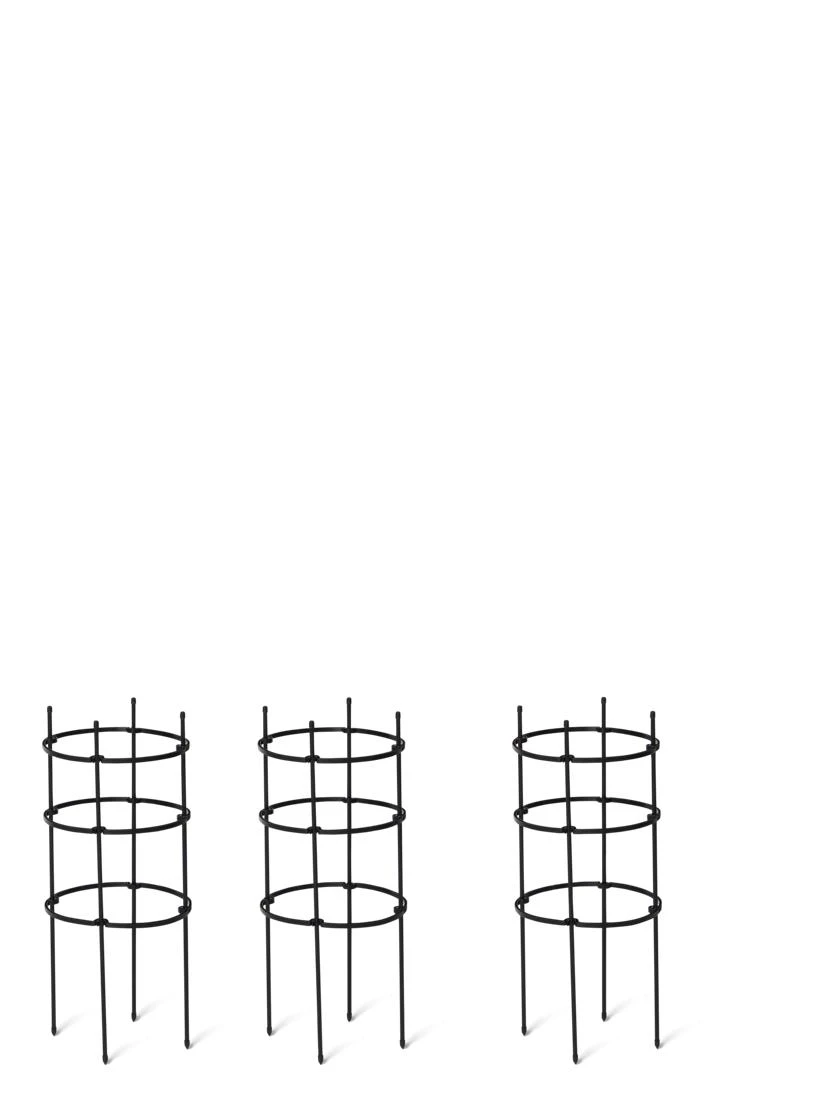 Titan Pepper Eggplant Cages, Set Of 3 2 Titan Pepper Eggplant Cages, Set Of 3 - Image 2