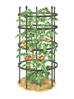 Titan Tomato Cages, Set Of 3 11 Titan Tomato Cages, Set Of 3 -Garden Care Series Store 8599861 0001 art tif