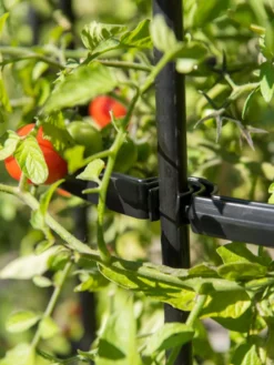 Titan Tomato Cages, Set Of 3 13 Titan Tomato Cages, Set Of 3 -Garden Care Series Store 8599861 0079 tif