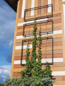 Exeter Wall Trellis 9 Exeter Wall Trellis -Garden Care Series Store 8600049 7121 tif