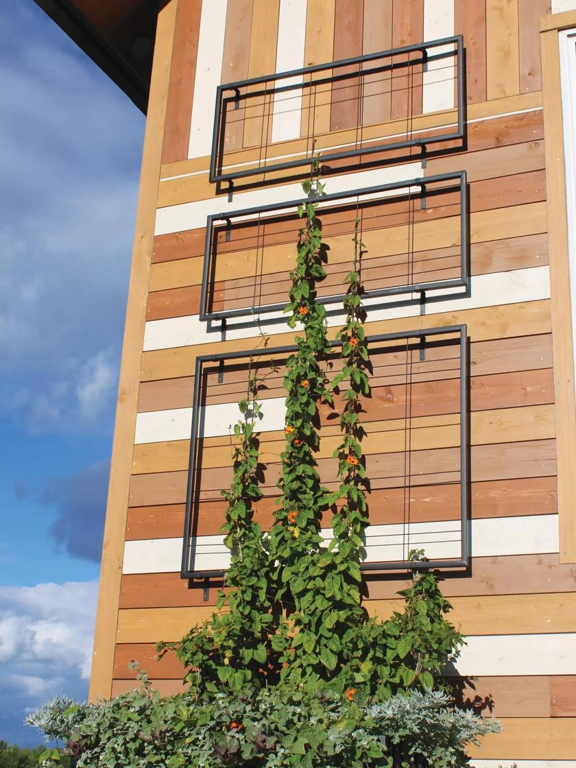 Exeter Wall Trellis 3 Exeter Wall Trellis - Image 3