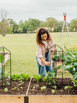 Zenith Folding Garden Supports, Set Of 2 15 Zenith Folding Garden Supports, Set Of 2 -Garden Care Series Store 8600073 324 tif