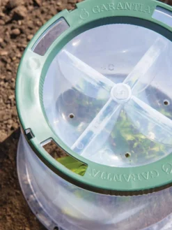 Sunny Forcing Cloches, Set Of 3 -Garden Care Series Store 8600075 0742 tif