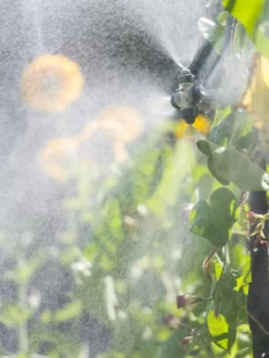 Landscape 4-Way Cooling Mist Kit, 50' -Garden Care Series Store 8600154 0695 tif