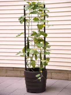Gardener’s Victory Self-Watering Planter With Vine Trellis -Garden Care Series Store 8600177 9876 tif