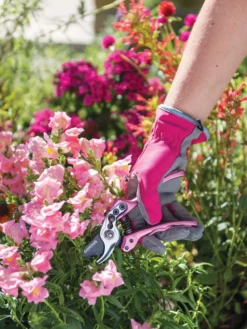 Gardener's Floral Pruning Bypass Shears -Garden Care Series Store 8600299 19545 tif