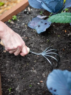 Garden Care Series Store -Garden Care Series Store 8600305 2974