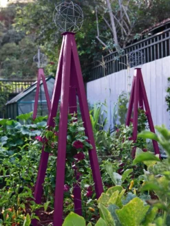 Akoris Garden Tuteur Jr. -Garden Care Series Store 8600517 01V akoris garden tuteur tif 1