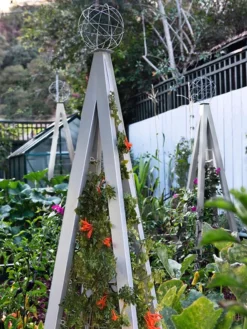 Akoris Garden Tuteur Jr. -Garden Care Series Store 8600517 07V tif