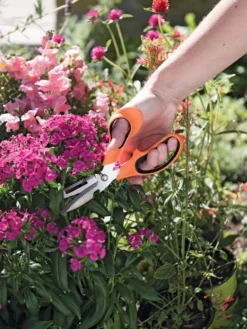 Gardener's Multi Purpose Scissors -Garden Care Series Store 8608655 19551 tif