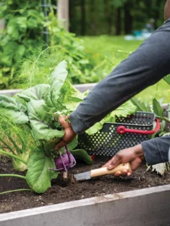 Gardener's Lifetime Hori Hori Knife 7 Gardener's Lifetime Hori Hori Knife -Garden Care Series Store 8608888 0422 tif