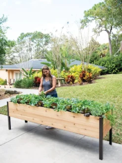 Self-Watering Elevated Planter Box, 2' X 8'