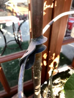 Garden Cane Connects, Set Of 6 -Garden Care Series Store 8609019 03V tif