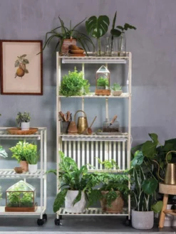 Oslo 4-Tier LED Grow Light Garden -Garden Care Series Store 8609188 4118 tif