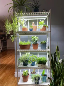 Oslo 4-Tier LED Grow Light Garden -Garden Care Series Store 8609220 03IN tif