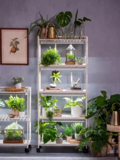 Oslo 4-Tier LED Grow Light Garden -Garden Care Series Store 8609220 4116 tif