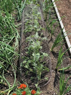 Chicken Wire Row Cloche Expandable Extra Large 3N1 -Garden Care Series Store 8609412 5903 tif