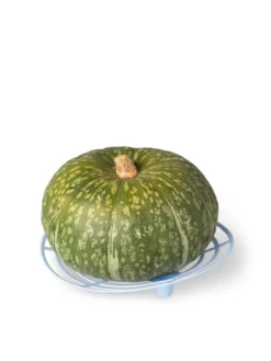 Melon And Squash Cradles, Set Of 6 -Garden Care Series Store 8609464 5204 tif