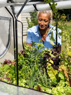 VegTrug®Patio Garden Greenhouse Cover Kit 11 VegTrug®Patio Garden Greenhouse Cover Kit -Garden Care Series Store 8610172 1256