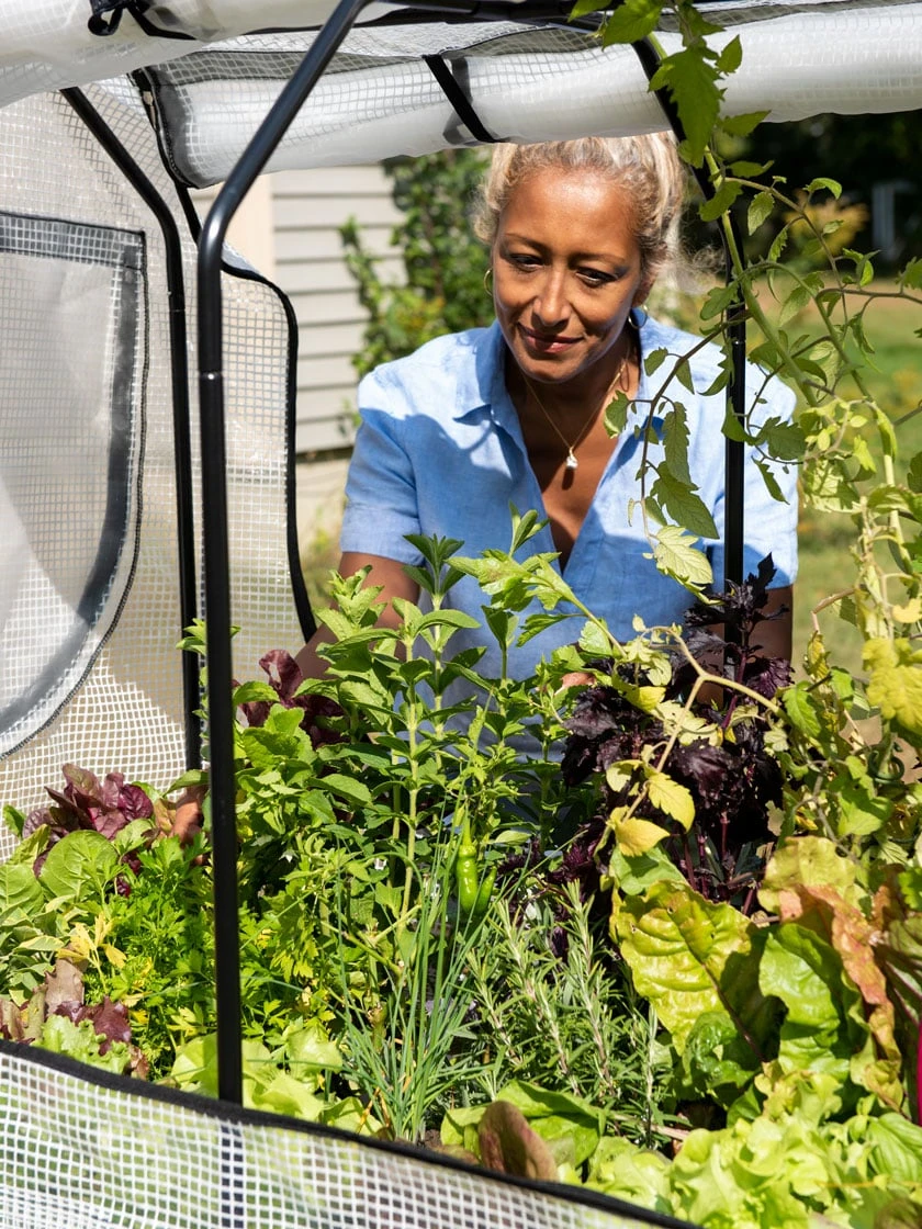 VegTrug®Patio Garden Greenhouse Cover Kit 3 VegTrug®Patio Garden Greenhouse Cover Kit - Image 3