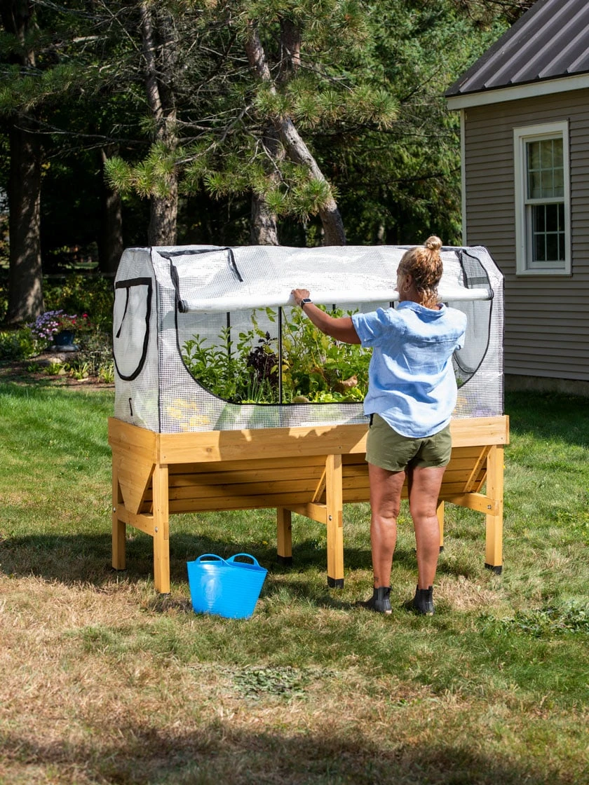 VegTrug®Patio Garden Greenhouse Cover Kit 5 VegTrug®Patio Garden Greenhouse Cover Kit - Image 5