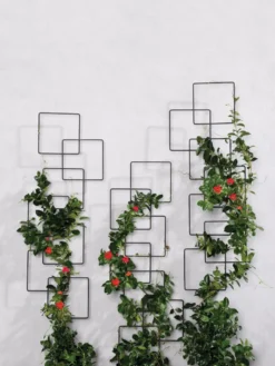 Building Blocks Wall Trellis, 45" -Garden Care Series Store 8610183 5811 tif