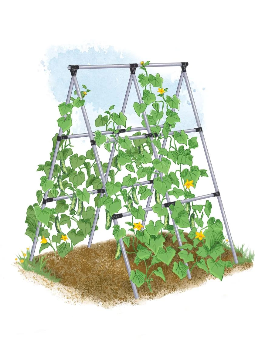 Connector Kit For DIY A Frame Plant Support 2 Connector Kit For DIY A Frame Plant Support - Image 2