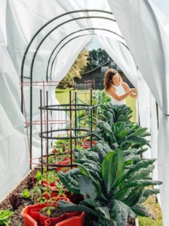 Maxi Garden Hoops With Clips 11 Maxi Garden Hoops With Clips -Garden Care Series Store 8610373 377 tif